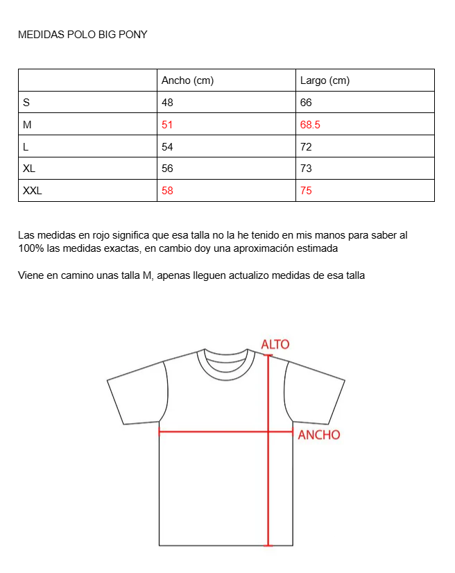 Poleras Polo big pony